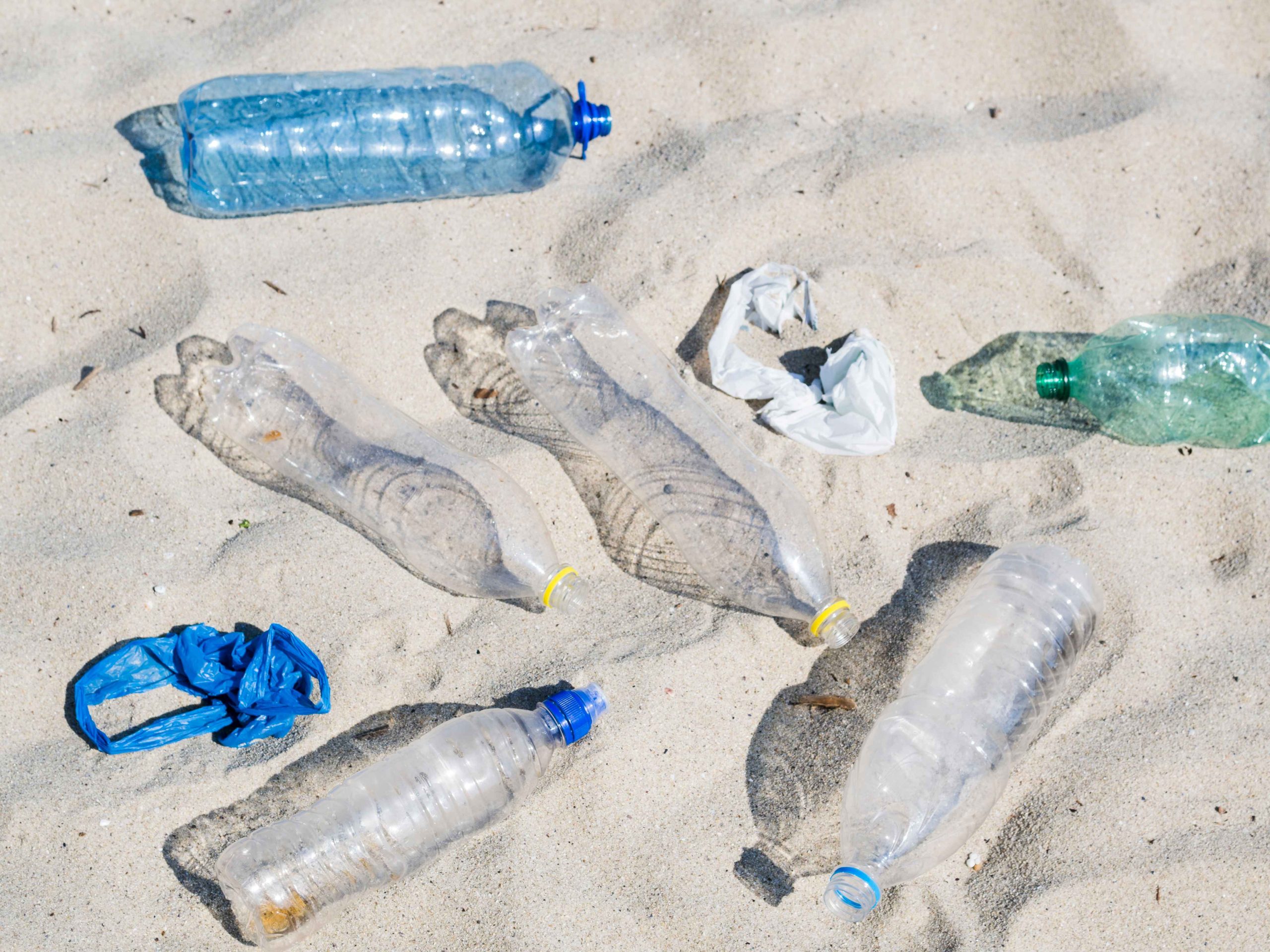 Read more about the article Bagaimana Dampak Limbah Plastik di Laut?