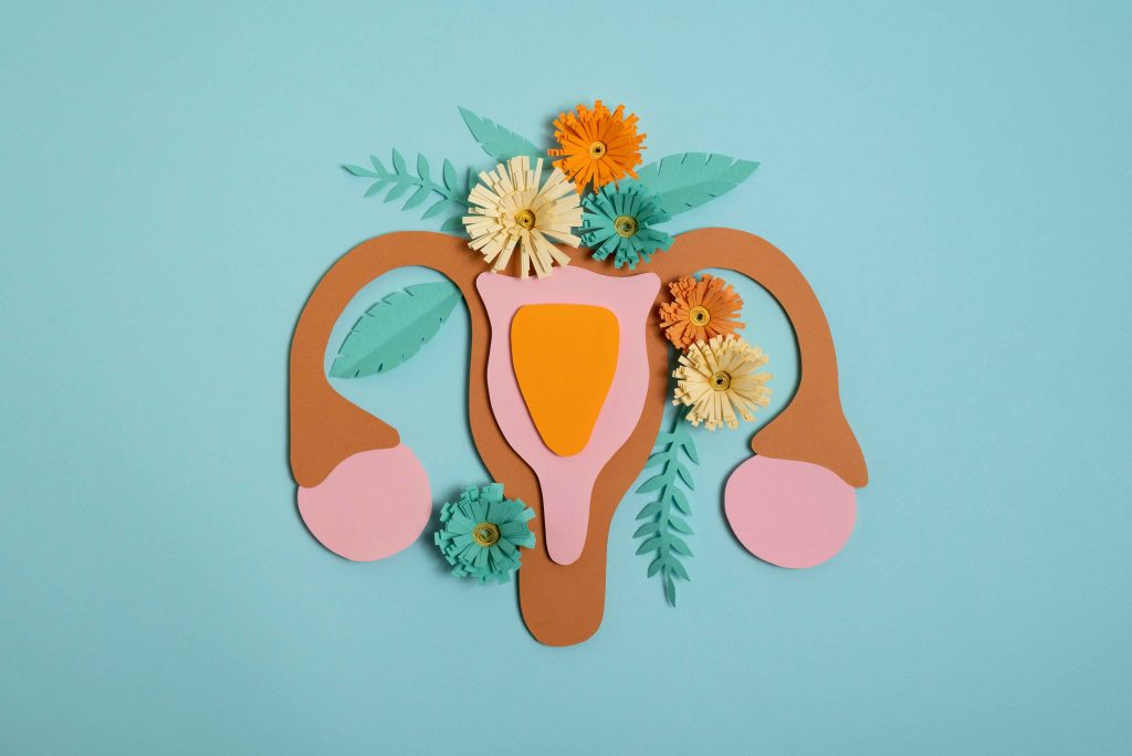 Mengenal Anatomi Organ atau Alat Reproduksi Wanita dan Fungsinya